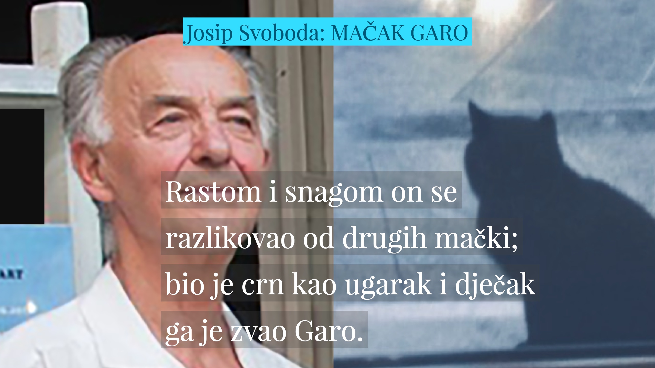 Josip Svoboda: Tužna priča "Mačak Garo"